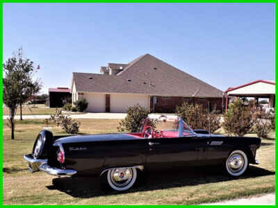 1956 Ford Thunderbird Convertible Restoration